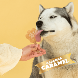 Smoofl Helado de caramelo para Perros Adultos